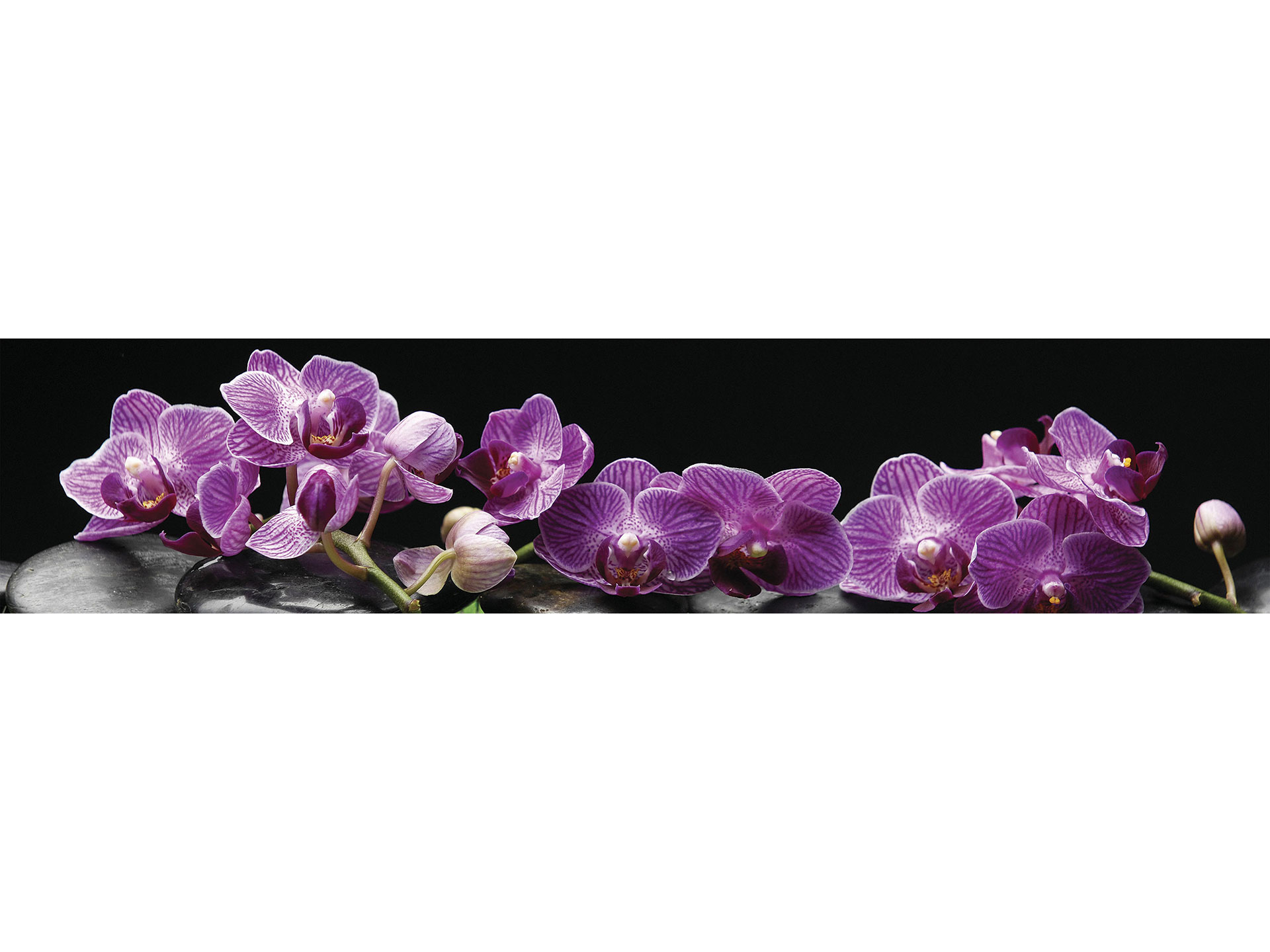 Фартук орхидея